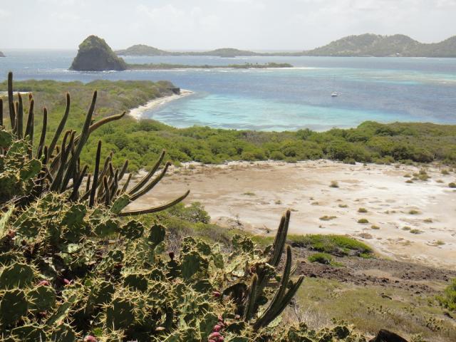 Saline_%26_White_Island.JPG